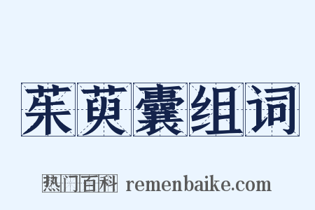 茱萸囊组词是什么意思的图片